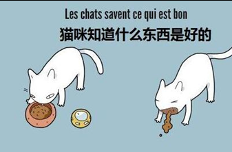 法语图